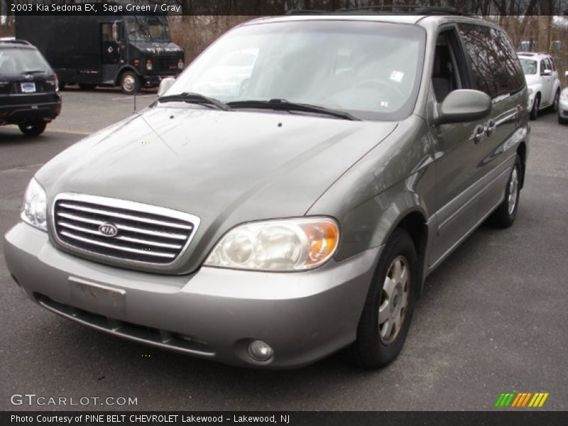 Sage Green / Gray 2003 Kia Sedona EX