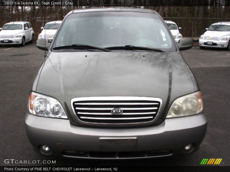 Sage Green / Gray 2003 Kia Sedona EX
