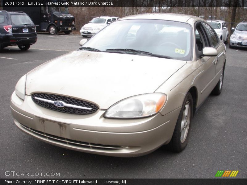 Harvest Gold Metallic / Dark Charcoal 2001 Ford Taurus SE