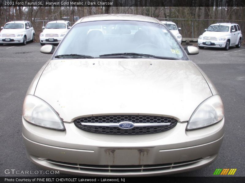 Harvest Gold Metallic / Dark Charcoal 2001 Ford Taurus SE