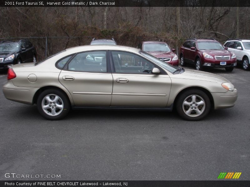  2001 Taurus SE Harvest Gold Metallic