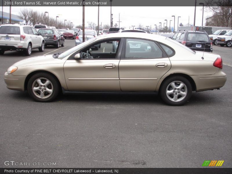 Harvest Gold Metallic / Dark Charcoal 2001 Ford Taurus SE