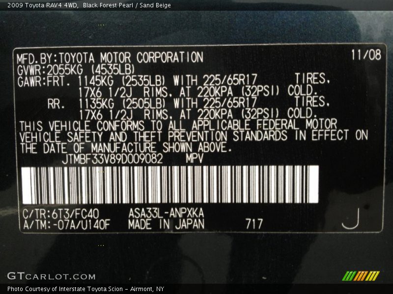 Black Forest Pearl / Sand Beige 2009 Toyota RAV4 4WD