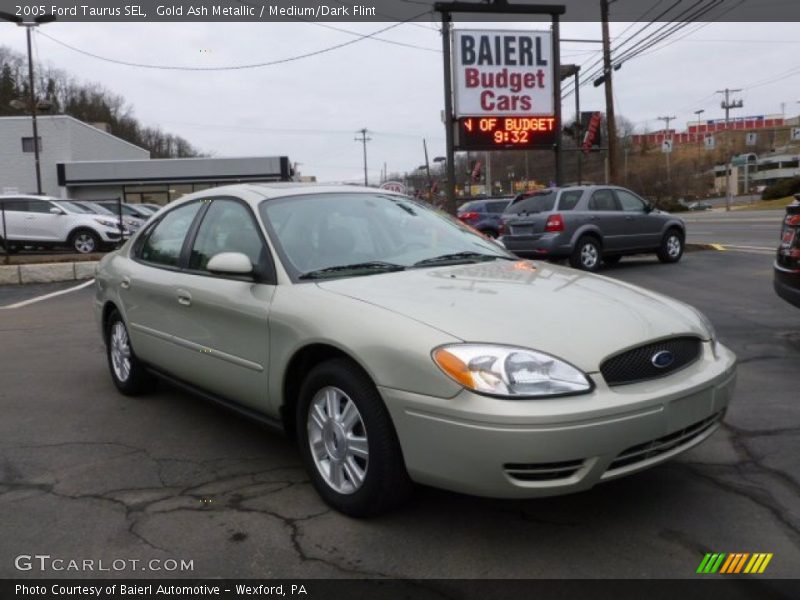 Gold Ash Metallic / Medium/Dark Flint 2005 Ford Taurus SEL