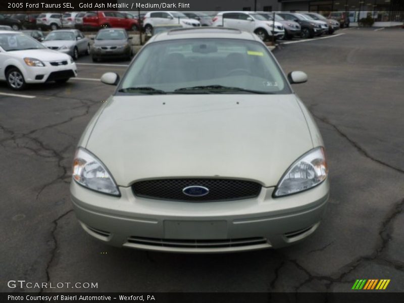 Gold Ash Metallic / Medium/Dark Flint 2005 Ford Taurus SEL