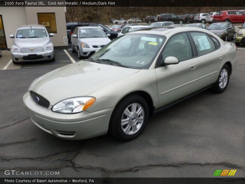 Gold Ash Metallic / Medium/Dark Flint 2005 Ford Taurus SEL