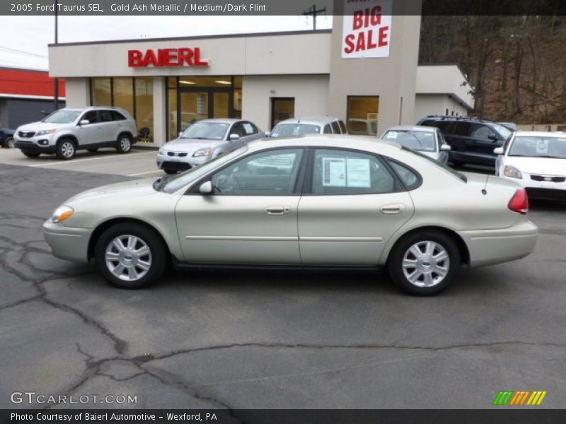 Gold Ash Metallic / Medium/Dark Flint 2005 Ford Taurus SEL