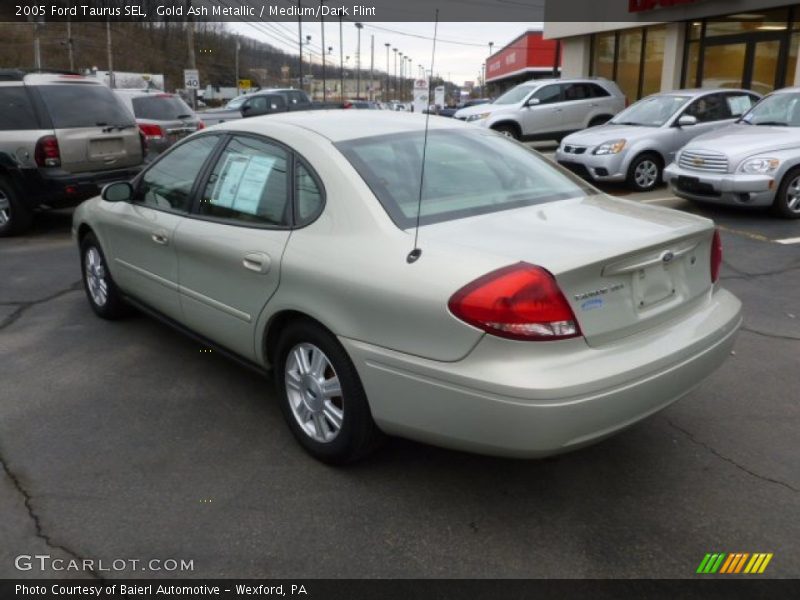 Gold Ash Metallic / Medium/Dark Flint 2005 Ford Taurus SEL