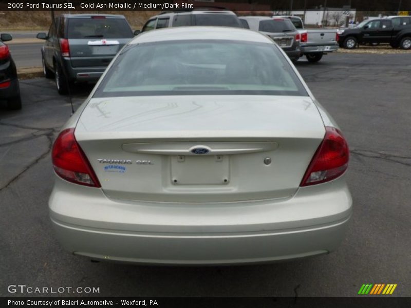Gold Ash Metallic / Medium/Dark Flint 2005 Ford Taurus SEL