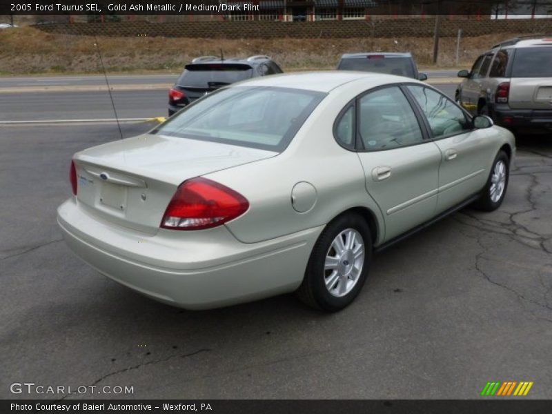 Gold Ash Metallic / Medium/Dark Flint 2005 Ford Taurus SEL