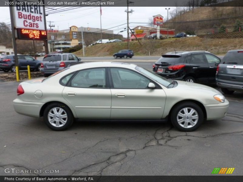Gold Ash Metallic / Medium/Dark Flint 2005 Ford Taurus SEL