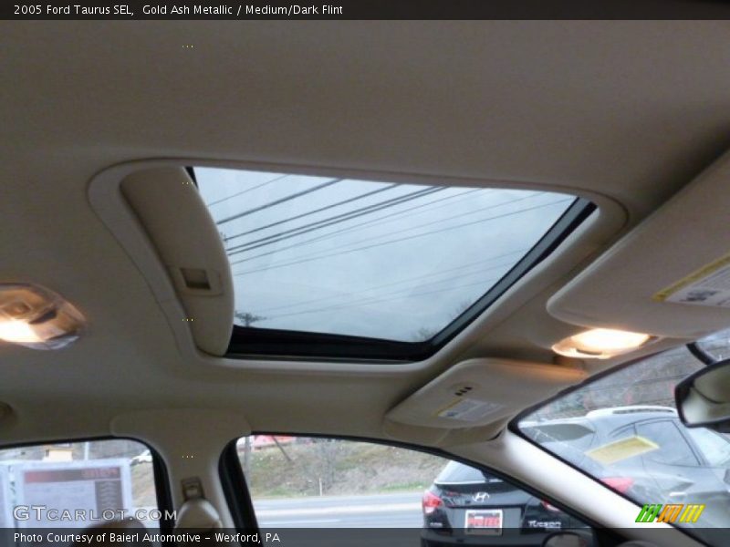 Gold Ash Metallic / Medium/Dark Flint 2005 Ford Taurus SEL