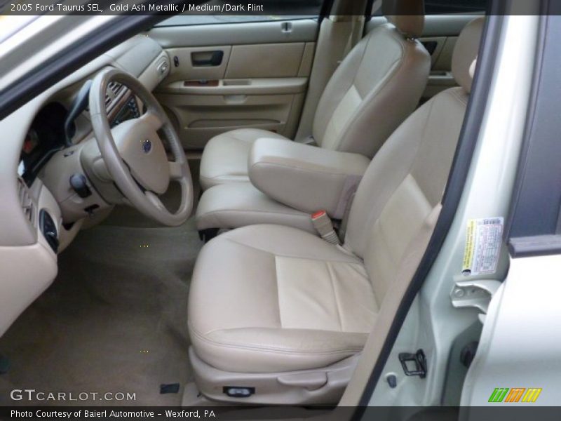 Gold Ash Metallic / Medium/Dark Flint 2005 Ford Taurus SEL