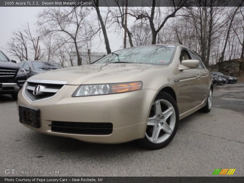 Desert Mist Metallic / Camel 2005 Acura TL 3.2