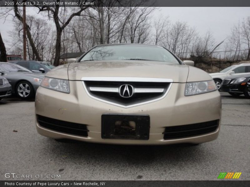 Desert Mist Metallic / Camel 2005 Acura TL 3.2