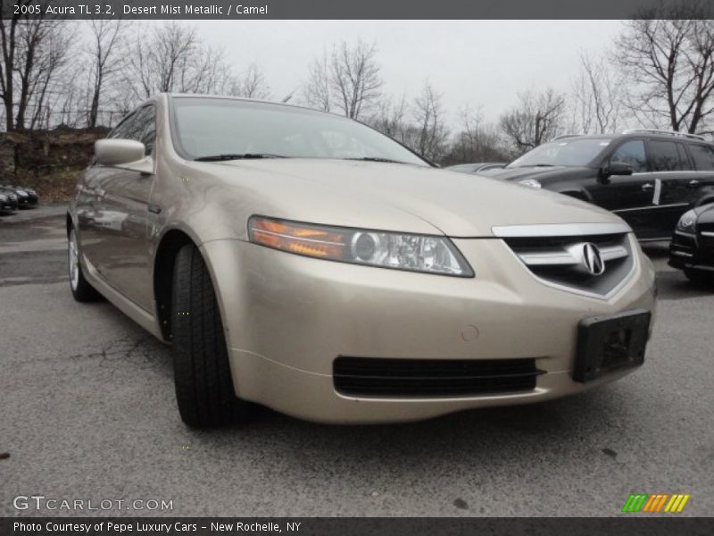 Desert Mist Metallic / Camel 2005 Acura TL 3.2