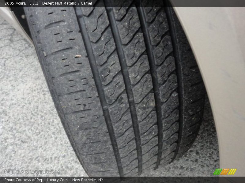 Desert Mist Metallic / Camel 2005 Acura TL 3.2