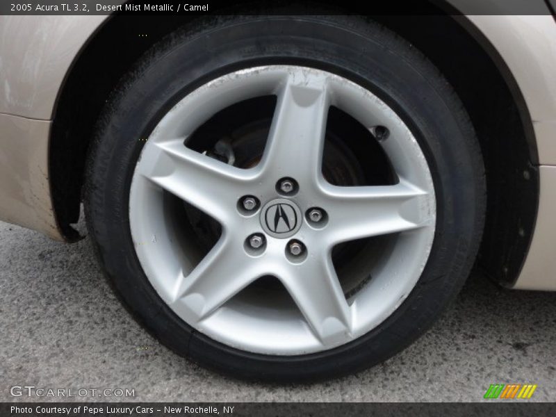 Desert Mist Metallic / Camel 2005 Acura TL 3.2