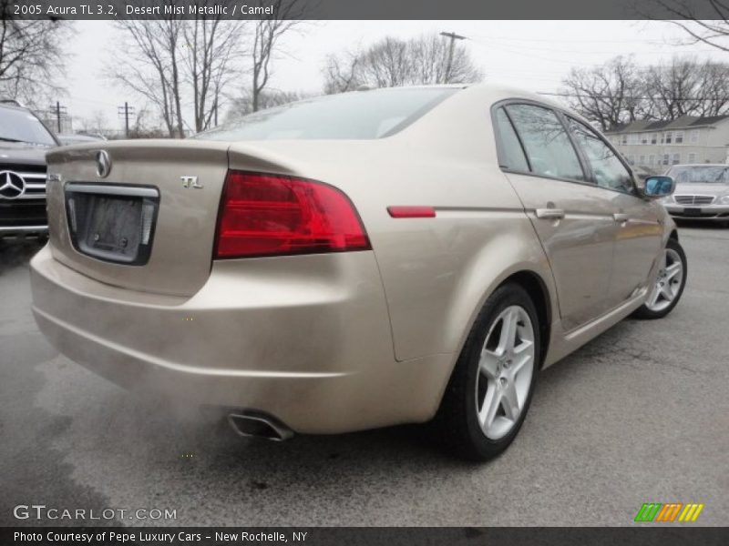 Desert Mist Metallic / Camel 2005 Acura TL 3.2