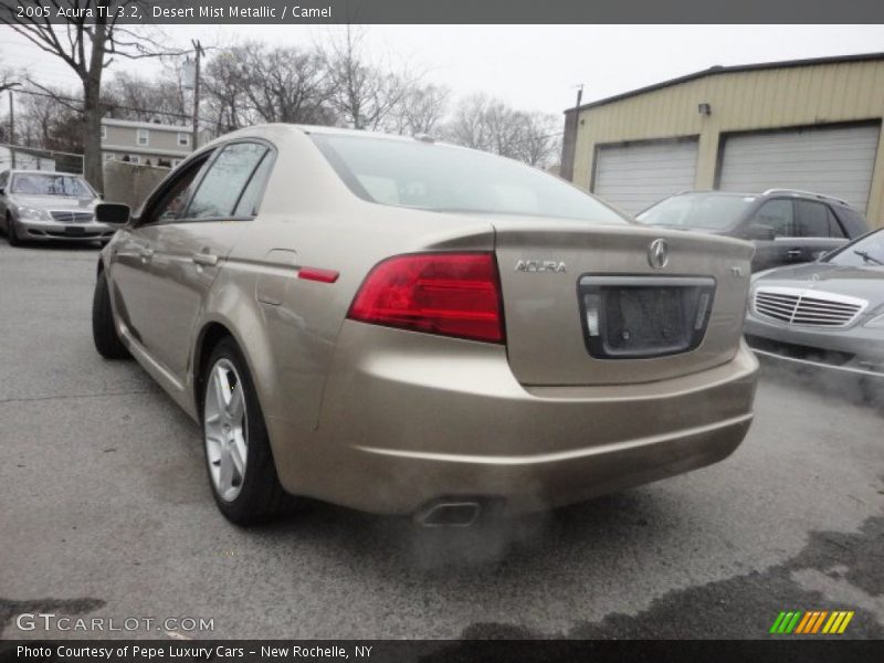 Desert Mist Metallic / Camel 2005 Acura TL 3.2