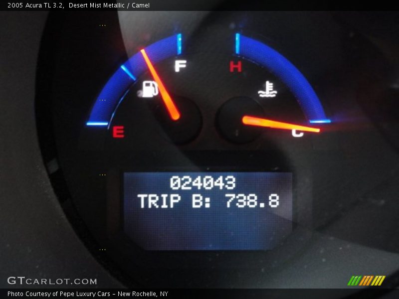 Desert Mist Metallic / Camel 2005 Acura TL 3.2