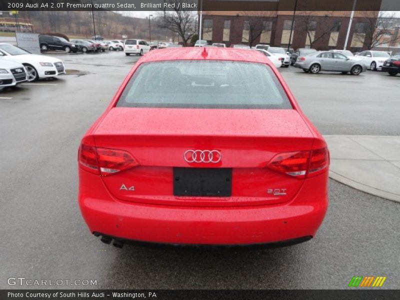 Brilliant Red / Black 2009 Audi A4 2.0T Premium quattro Sedan