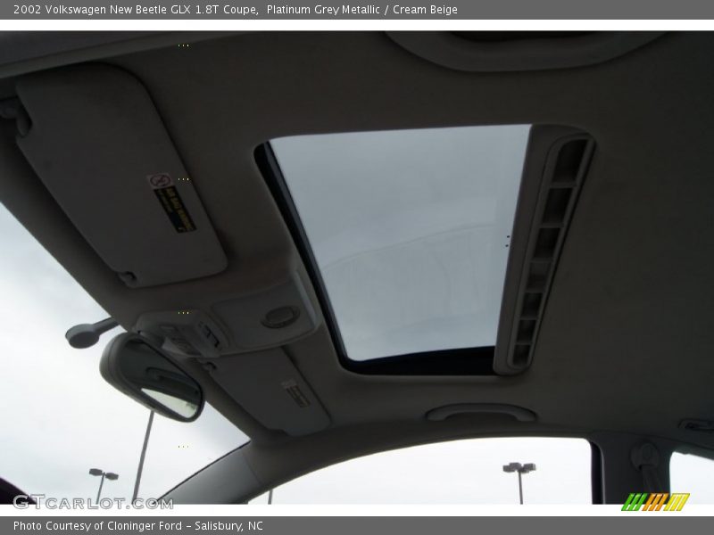Platinum Grey Metallic / Cream Beige 2002 Volkswagen New Beetle GLX 1.8T Coupe