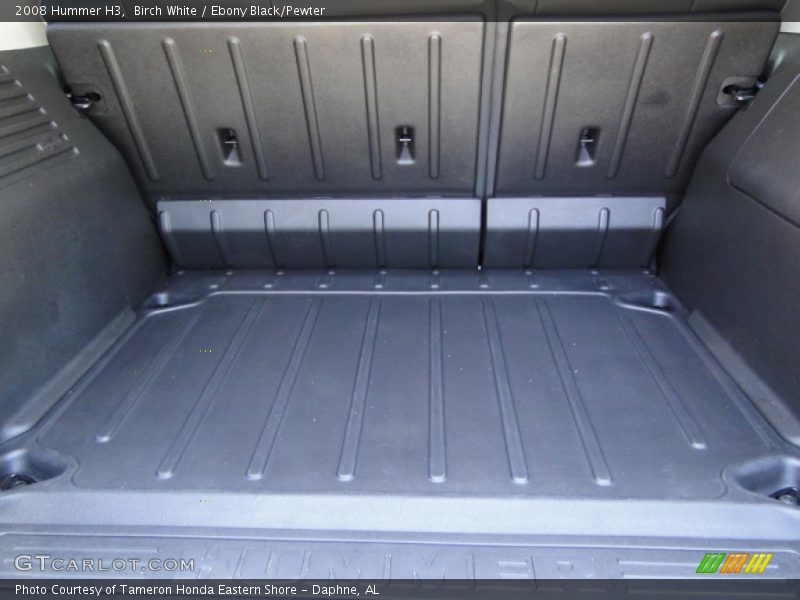  2008 H3  Trunk