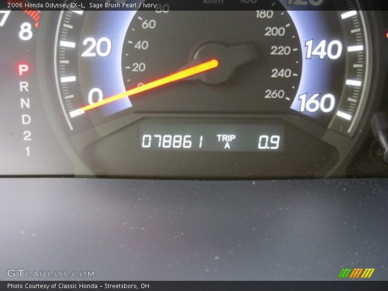 Sage Brush Pearl / Ivory 2006 Honda Odyssey EX-L
