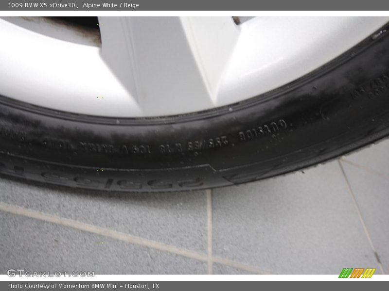 Alpine White / Beige 2009 BMW X5 xDrive30i
