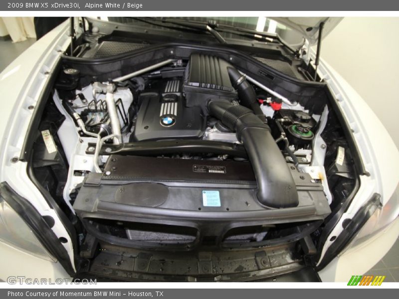 Alpine White / Beige 2009 BMW X5 xDrive30i