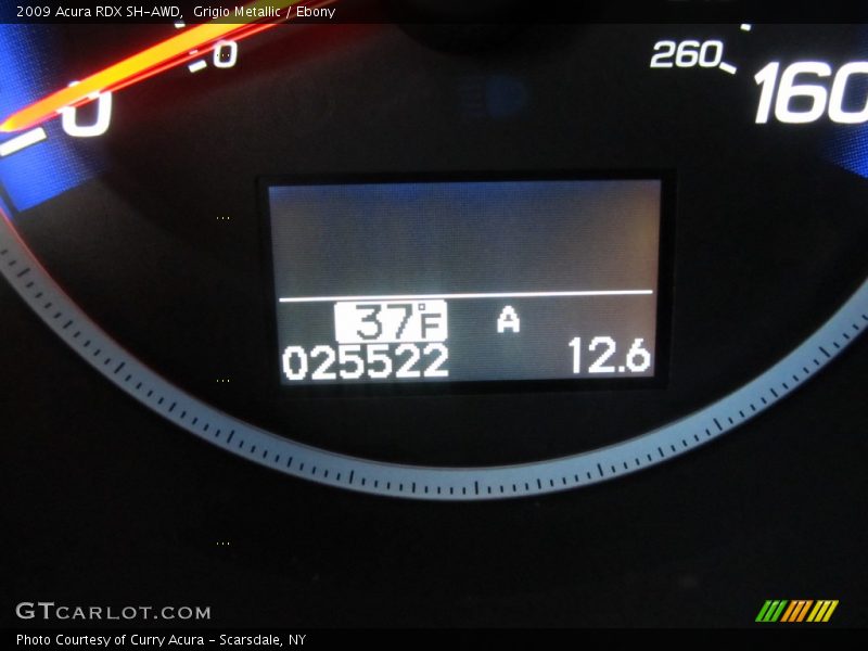 Grigio Metallic / Ebony 2009 Acura RDX SH-AWD