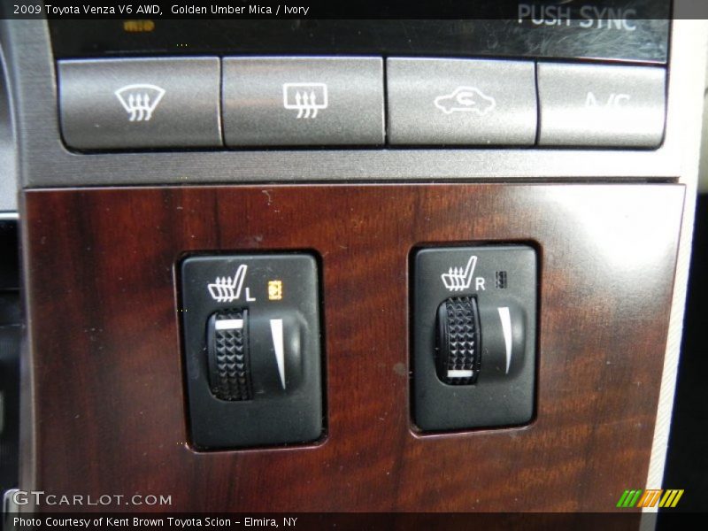 Golden Umber Mica / Ivory 2009 Toyota Venza V6 AWD