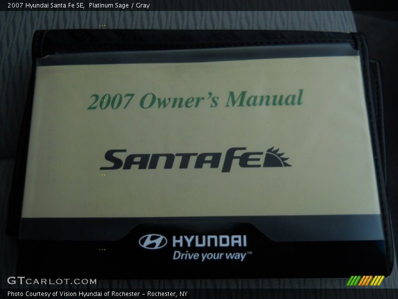 Platinum Sage / Gray 2007 Hyundai Santa Fe SE