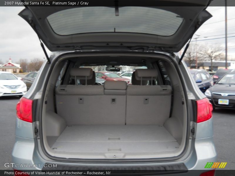 Platinum Sage / Gray 2007 Hyundai Santa Fe SE