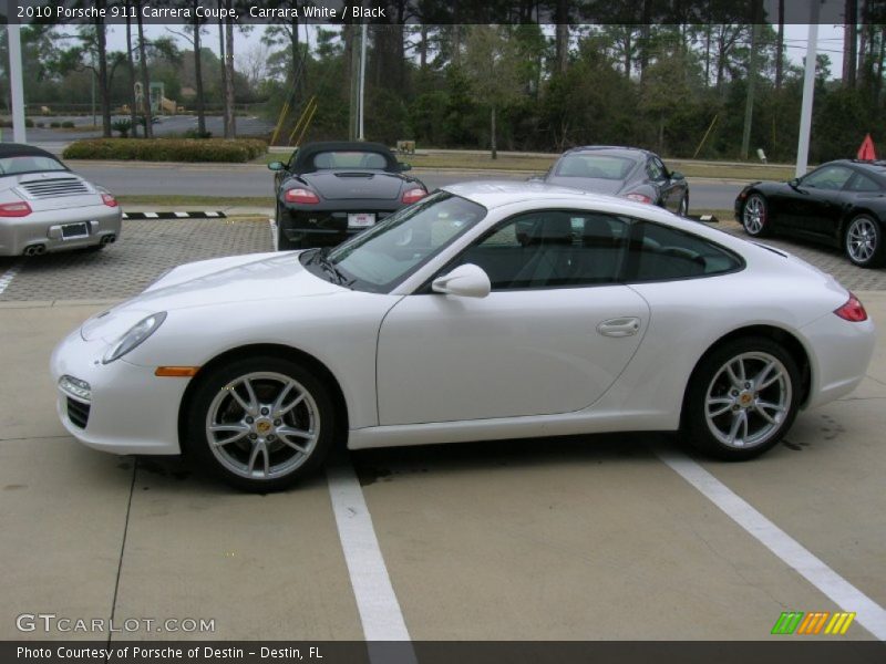 Carrara White / Black 2010 Porsche 911 Carrera Coupe