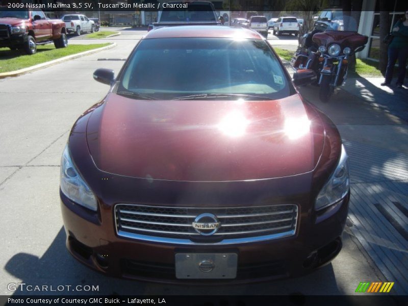 Tuscan Sun Metallic / Charcoal 2009 Nissan Maxima 3.5 SV