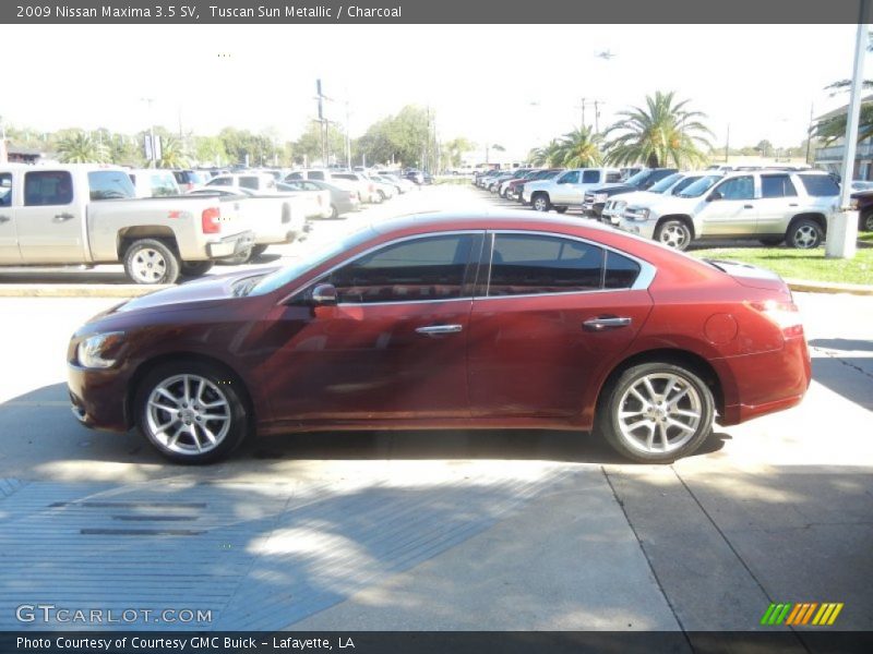Tuscan Sun Metallic / Charcoal 2009 Nissan Maxima 3.5 SV