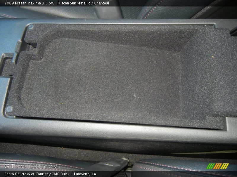 Tuscan Sun Metallic / Charcoal 2009 Nissan Maxima 3.5 SV