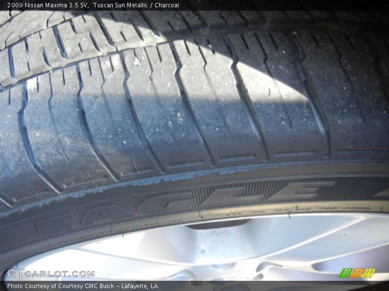 Tuscan Sun Metallic / Charcoal 2009 Nissan Maxima 3.5 SV