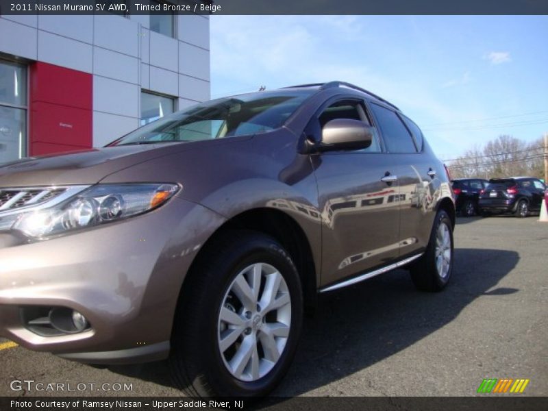 Tinted Bronze / Beige 2011 Nissan Murano SV AWD