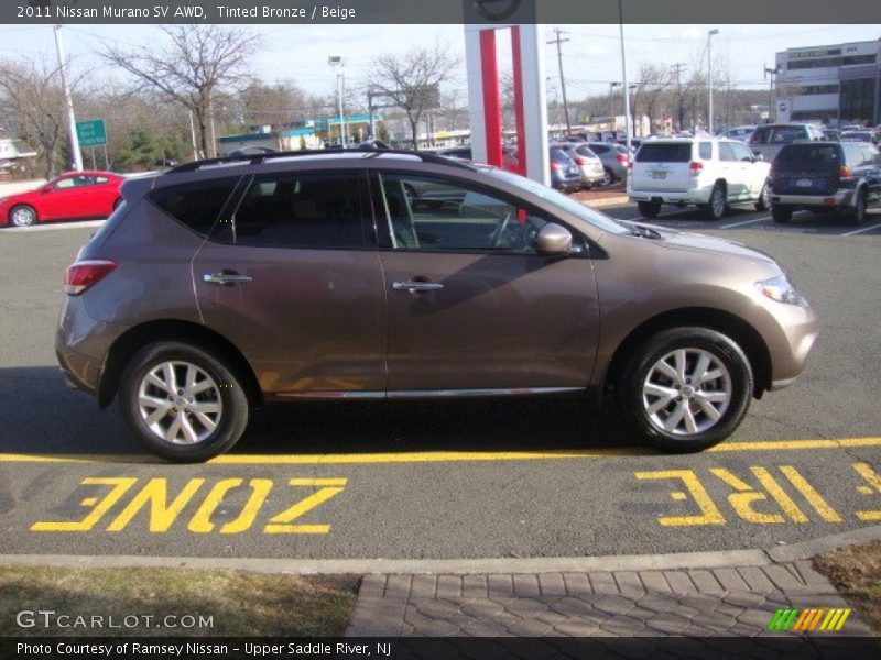 Tinted Bronze / Beige 2011 Nissan Murano SV AWD