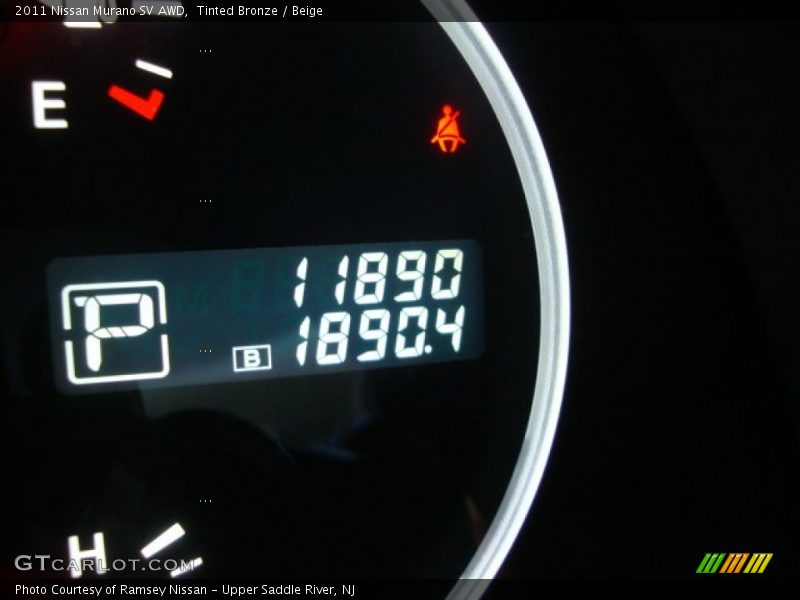 Tinted Bronze / Beige 2011 Nissan Murano SV AWD