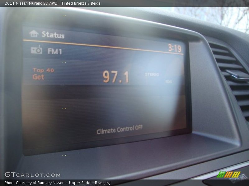 Tinted Bronze / Beige 2011 Nissan Murano SV AWD