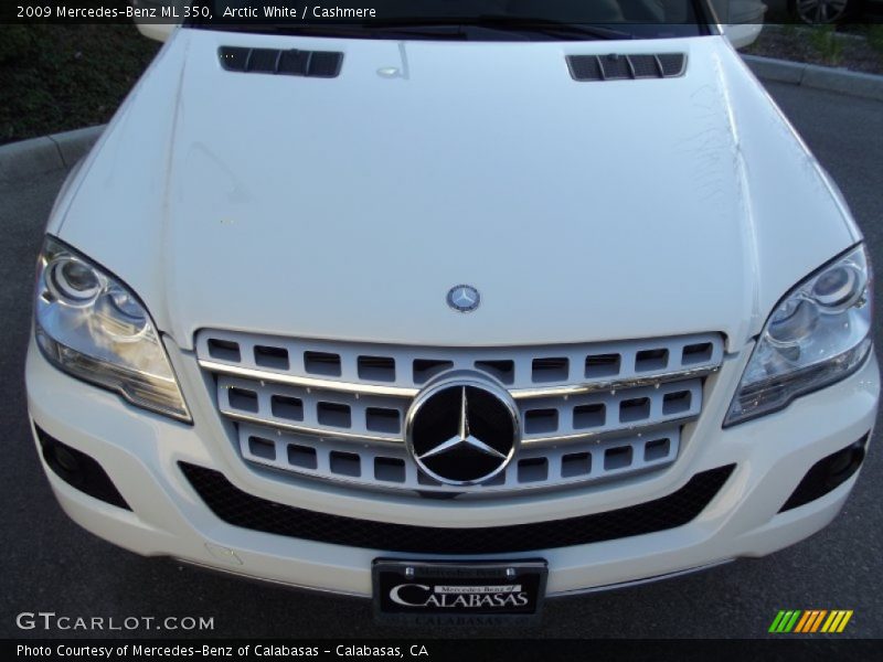 Arctic White / Cashmere 2009 Mercedes-Benz ML 350