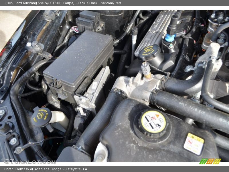 Black / Dark Charcoal/Red 2009 Ford Mustang Shelby GT500 Coupe