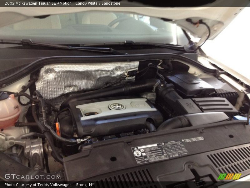Candy White / Sandstone 2009 Volkswagen Tiguan SE 4Motion