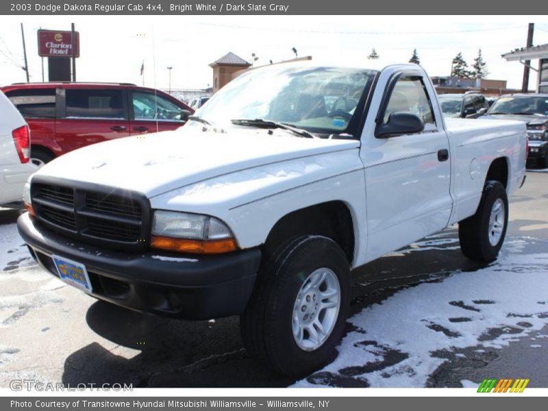 Bright White / Dark Slate Gray 2003 Dodge Dakota Regular Cab 4x4