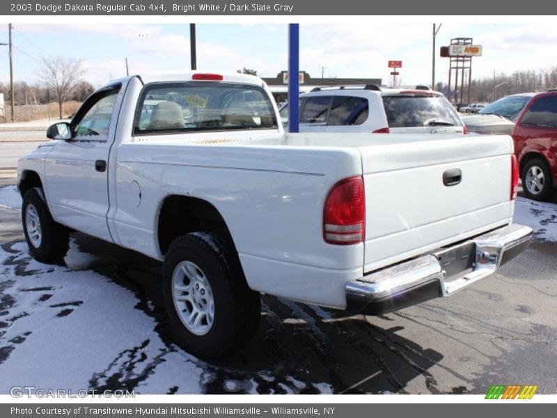 Bright White / Dark Slate Gray 2003 Dodge Dakota Regular Cab 4x4
