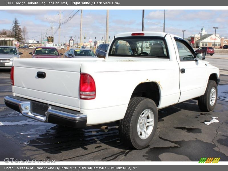 Bright White / Dark Slate Gray 2003 Dodge Dakota Regular Cab 4x4